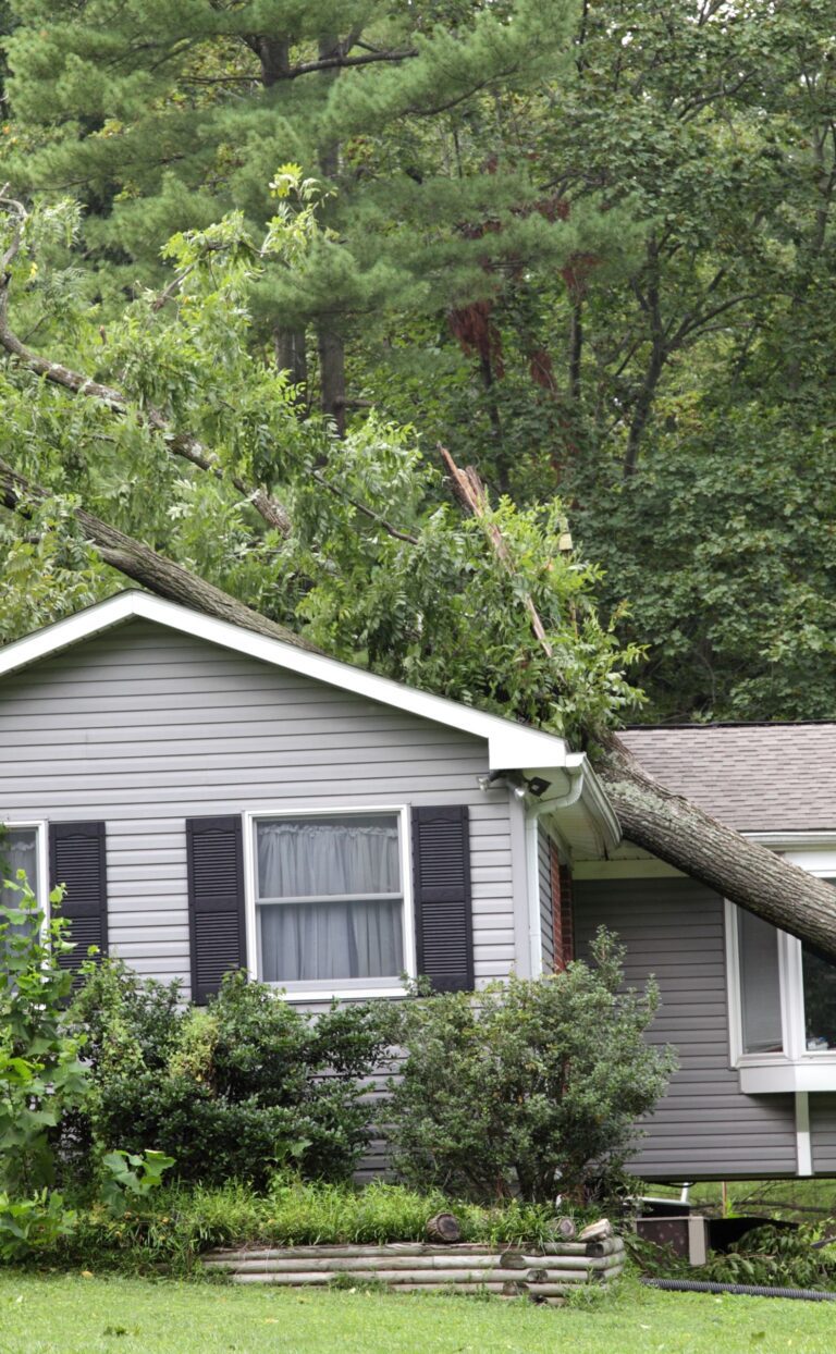 Property damage insurance image of a fallen tree resting on the roof of a residential house after a storm.